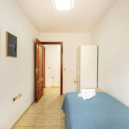 Starfish San Juan Daire